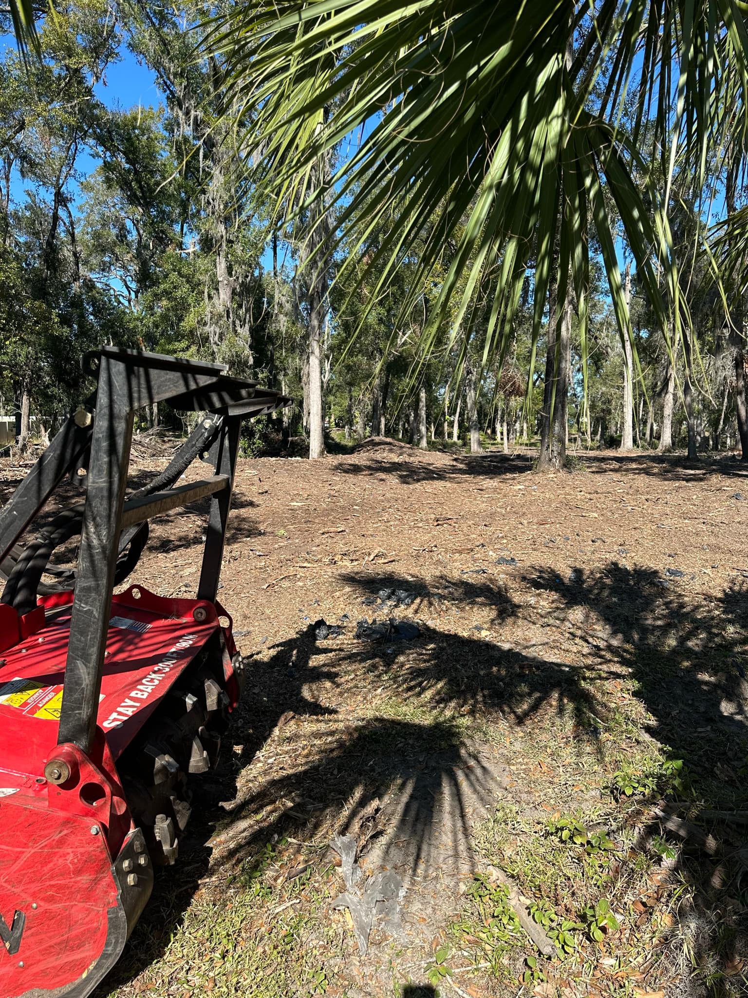 Dense green trees ideal for forestry mulching land management in Volusia County