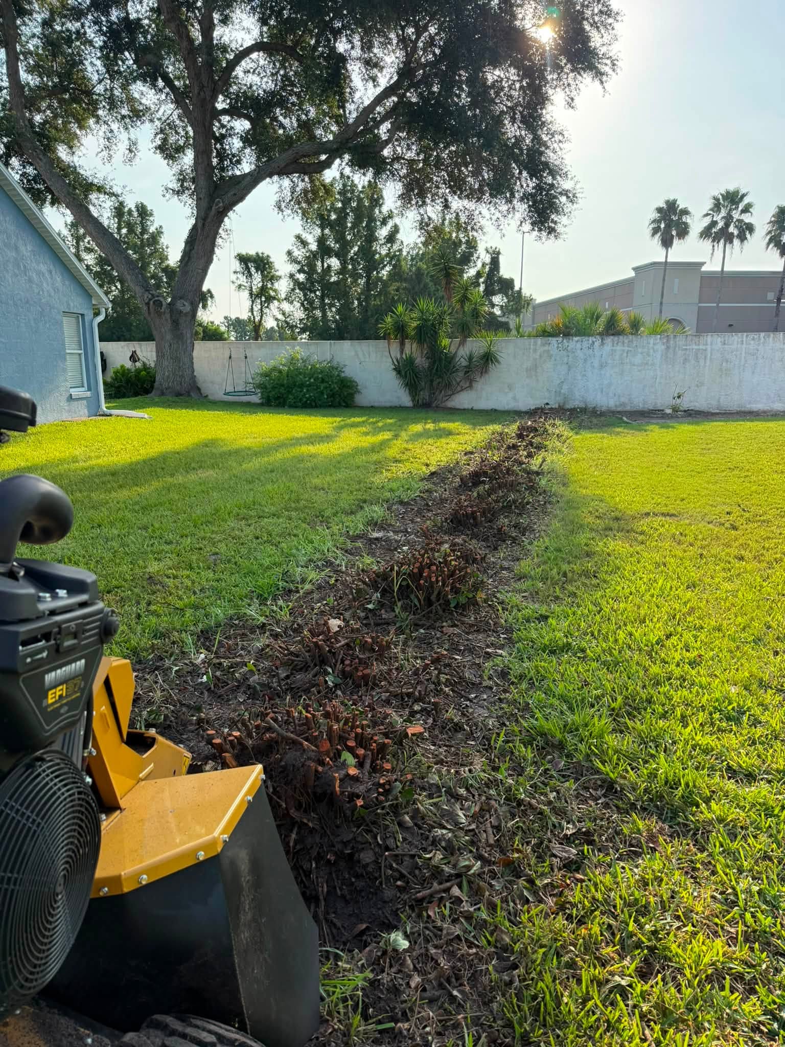 Tree stump in a green landscaped yard ready for grinding