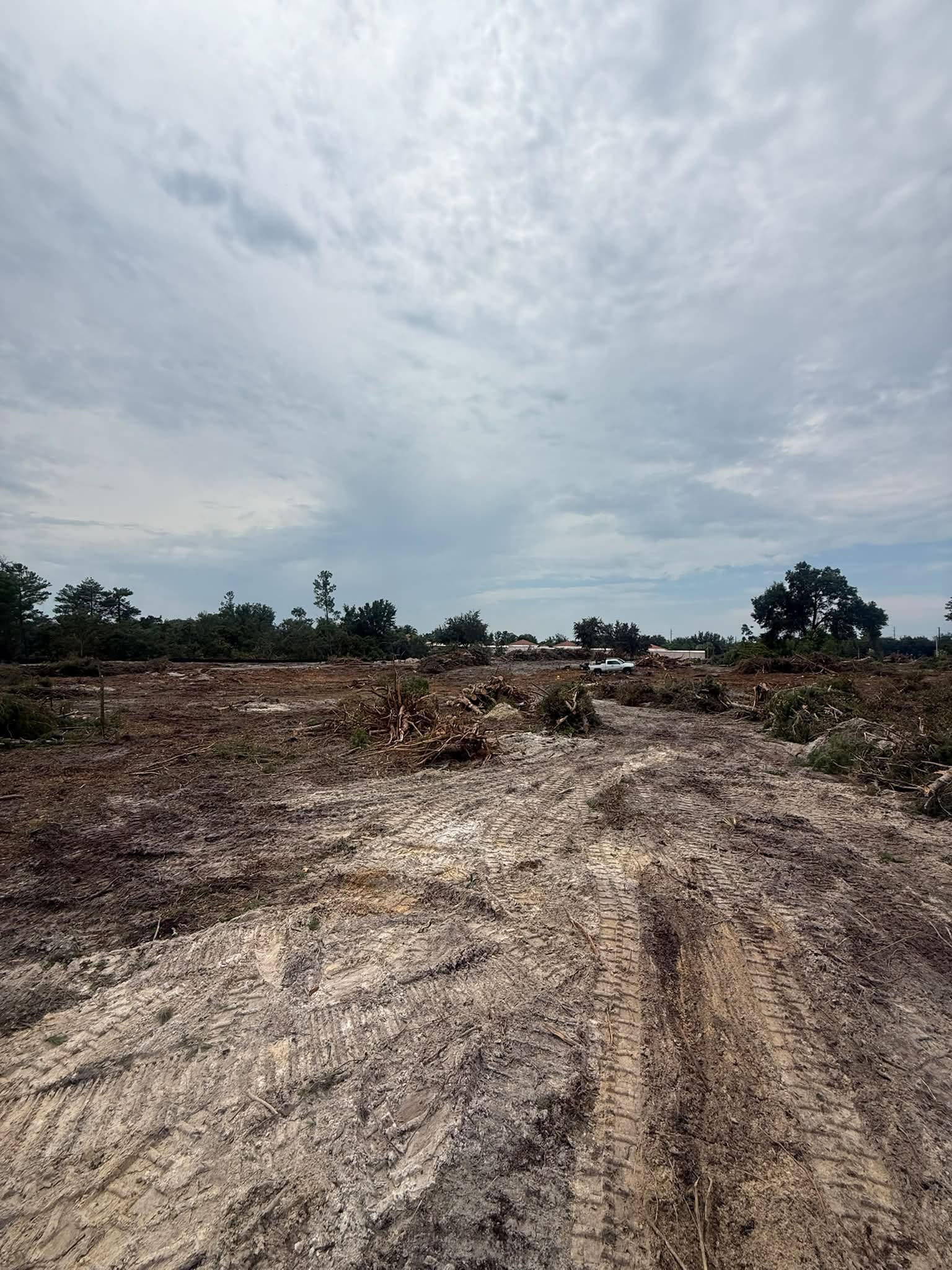 Heavy machinery clearing a large plot of land with trees in Central Florida