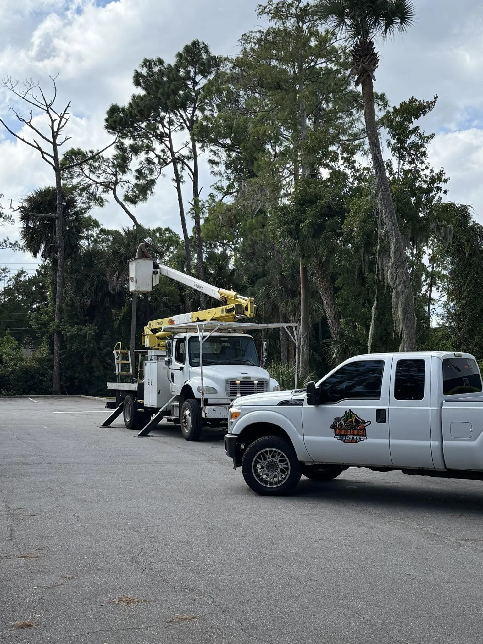 White boom truck with worker in bucket ready for emergency tree service